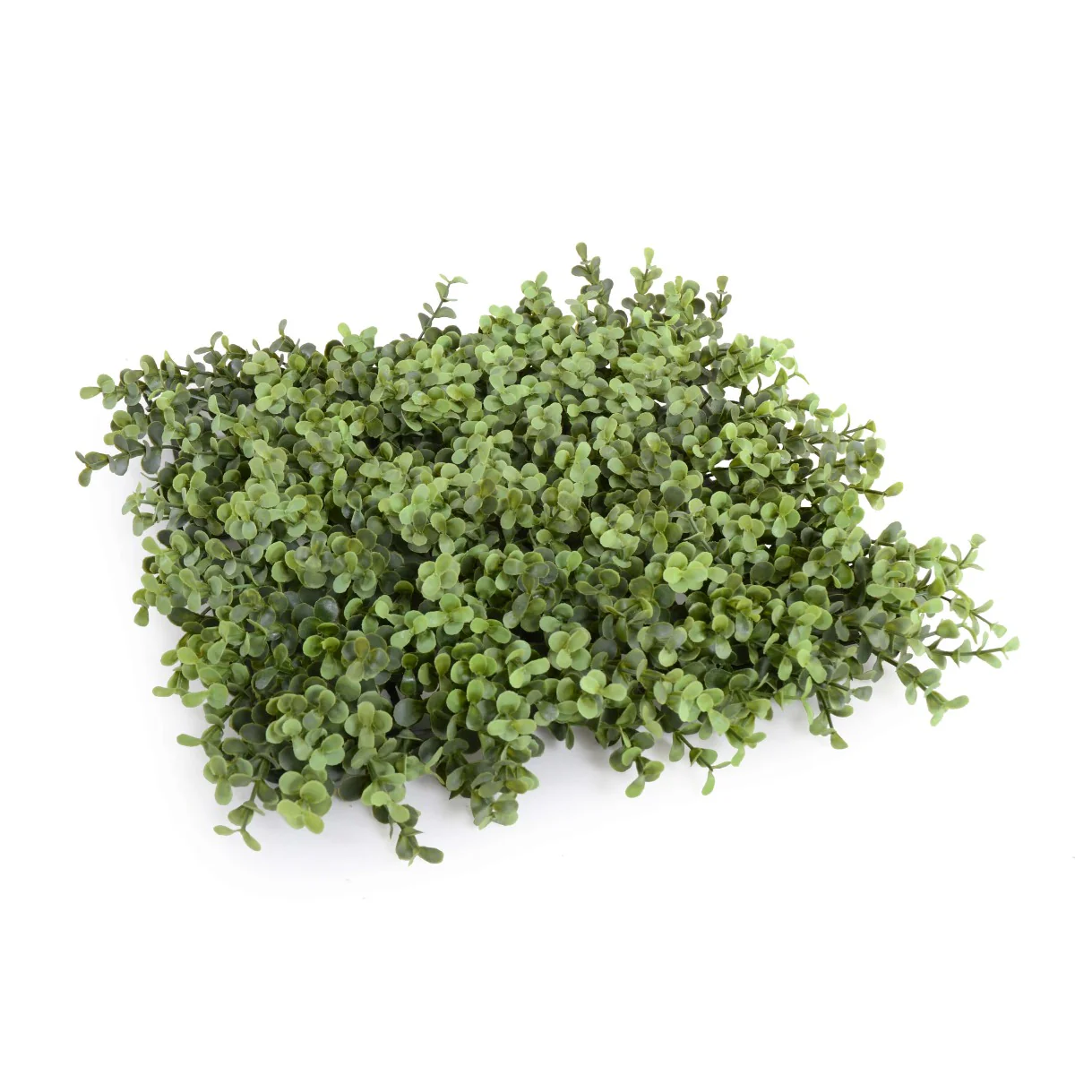 Deluxe Portable Buxus Hedge UV Resistant 100cm Long x 200cm High - Image 2