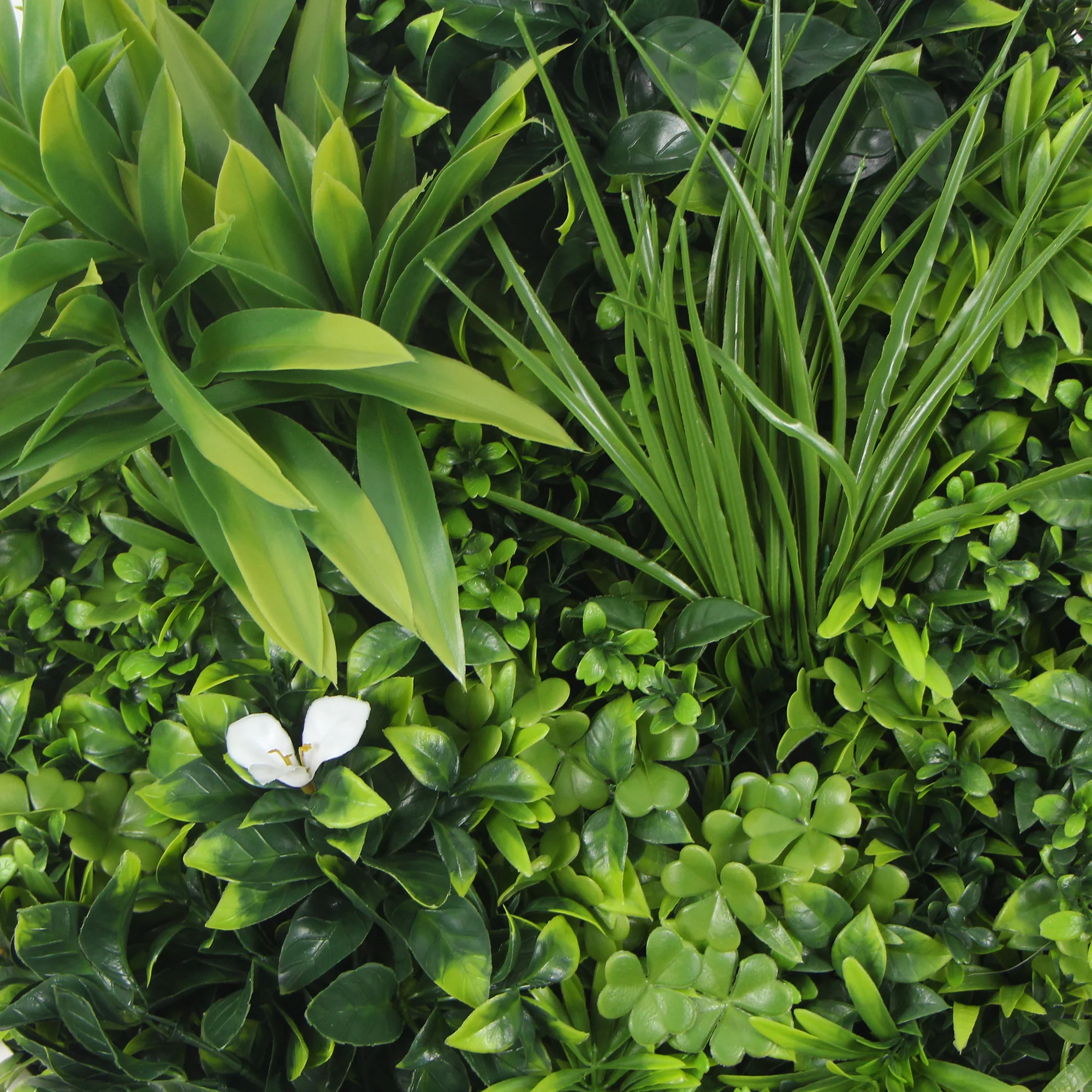 Flowering White Artificial Green Wall Disc UV Resistant 75cm (Black Frame) - Image 4