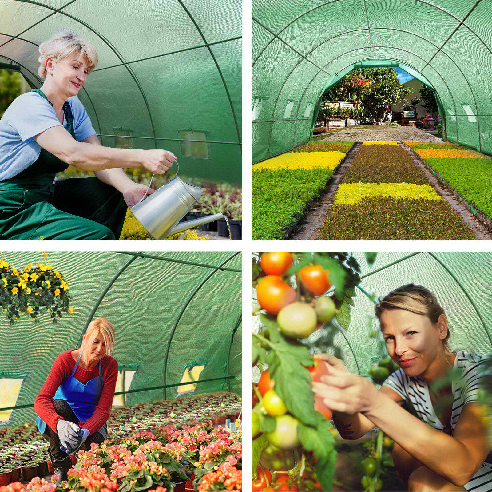 Green Fingers Greenhouse 6x3x2M Walk in Green House Tunnel Plant Garden Shed Dome - Image 7