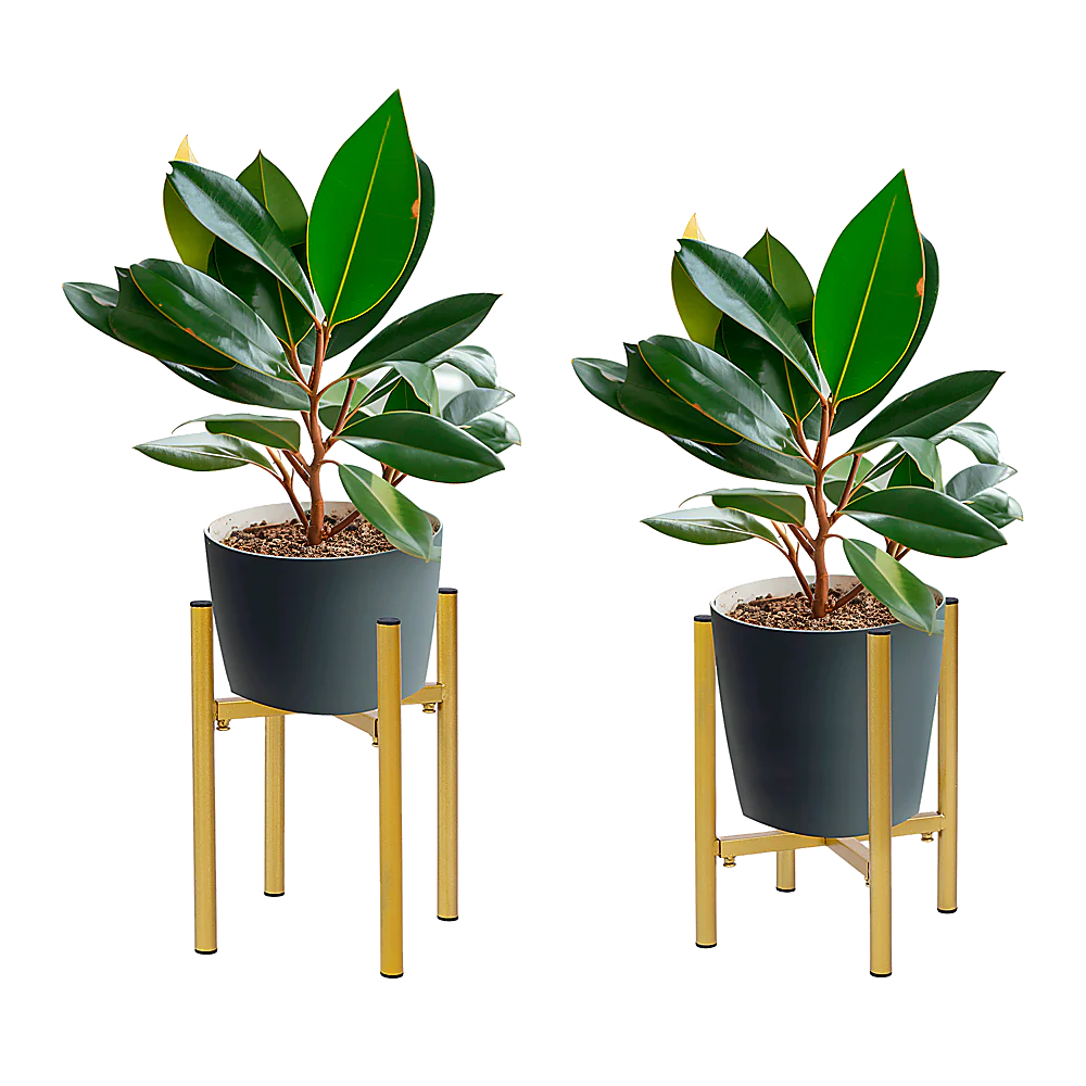 Metal Plant Stand Adjustable Indoor - Image 8