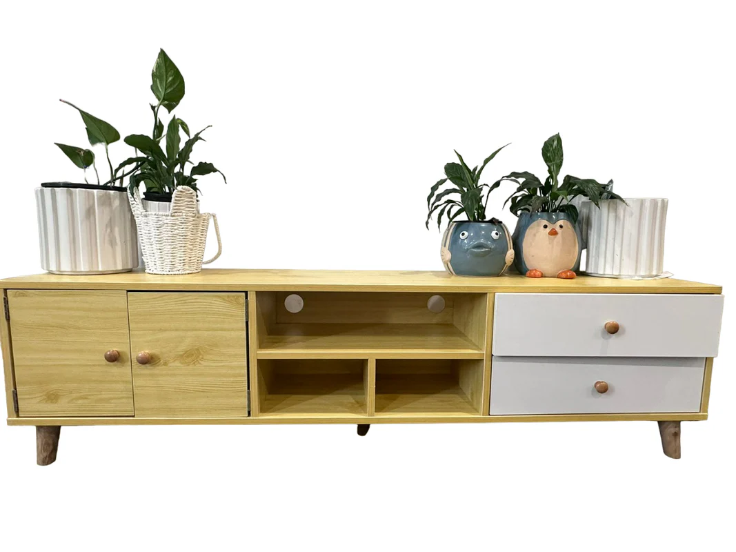 NNECN Two-Doors, Two-Drawers Wooden TV Cabinet - Image 4