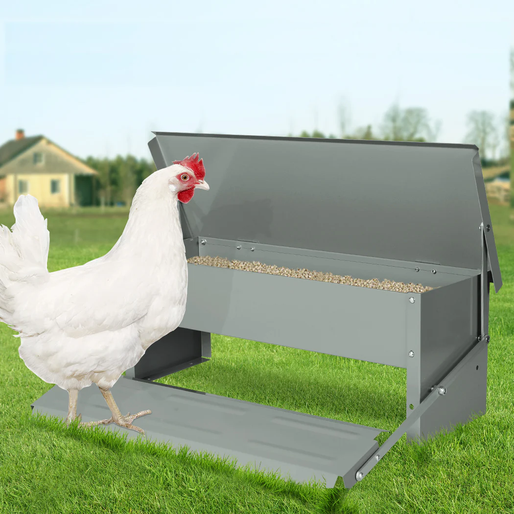 PaWz 10KG Auto Automatic Chicken Feeder - Image 6