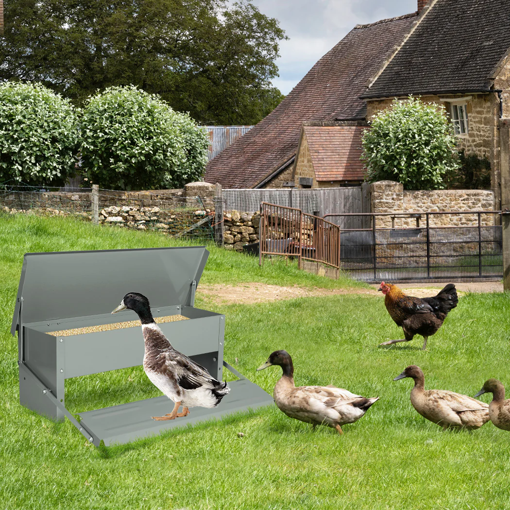 PaWz 10KG Auto Automatic Chicken Feeder - Image 7