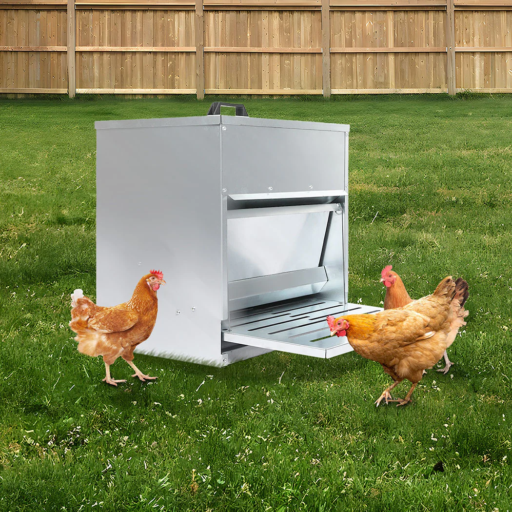 PaWz 10KG Auto Chicken Feeder Dispenser Galvanised Steel - Image 7