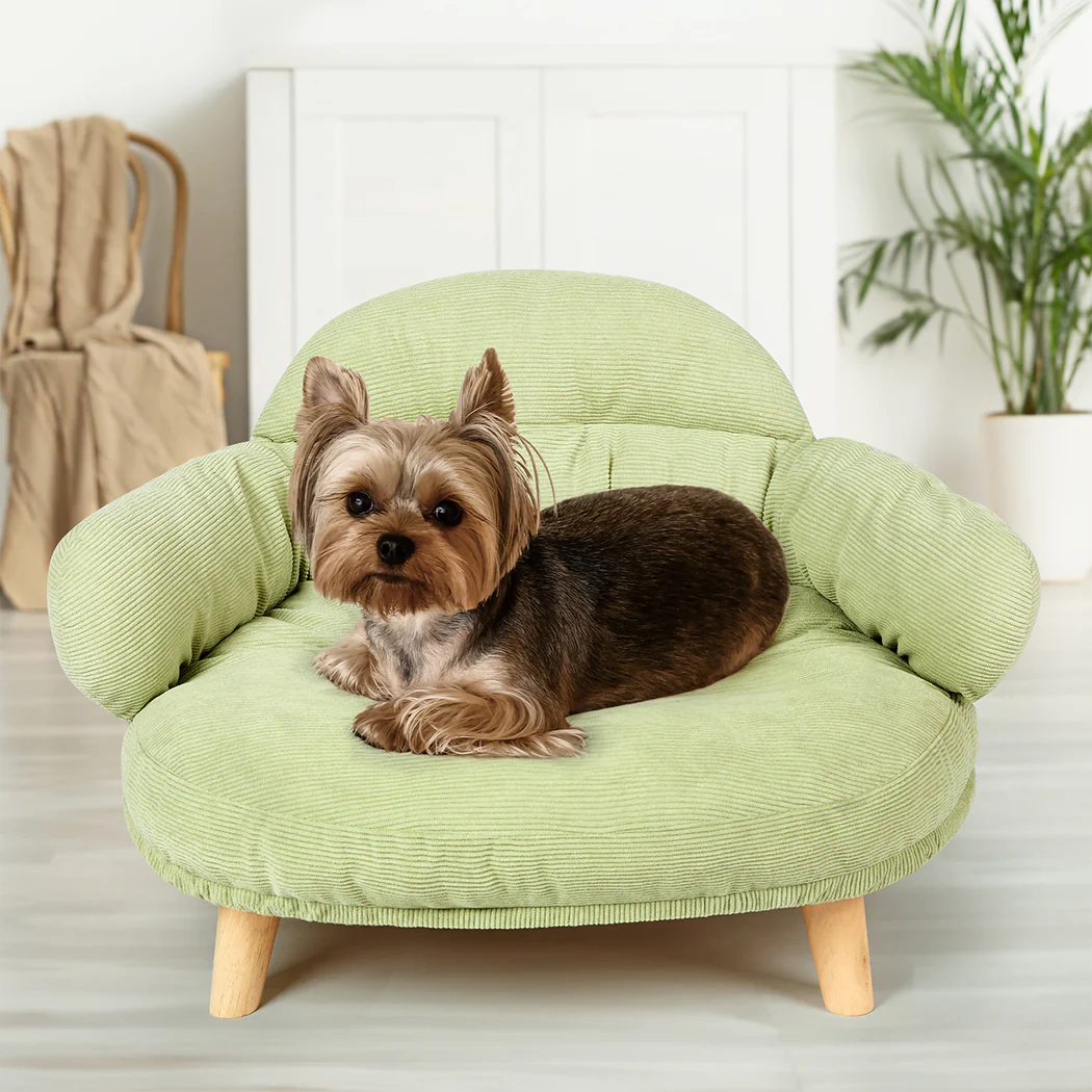 Pawz Elevated Pet Dog Cat Sofa Bed Couch XL Size Green - Image 7
