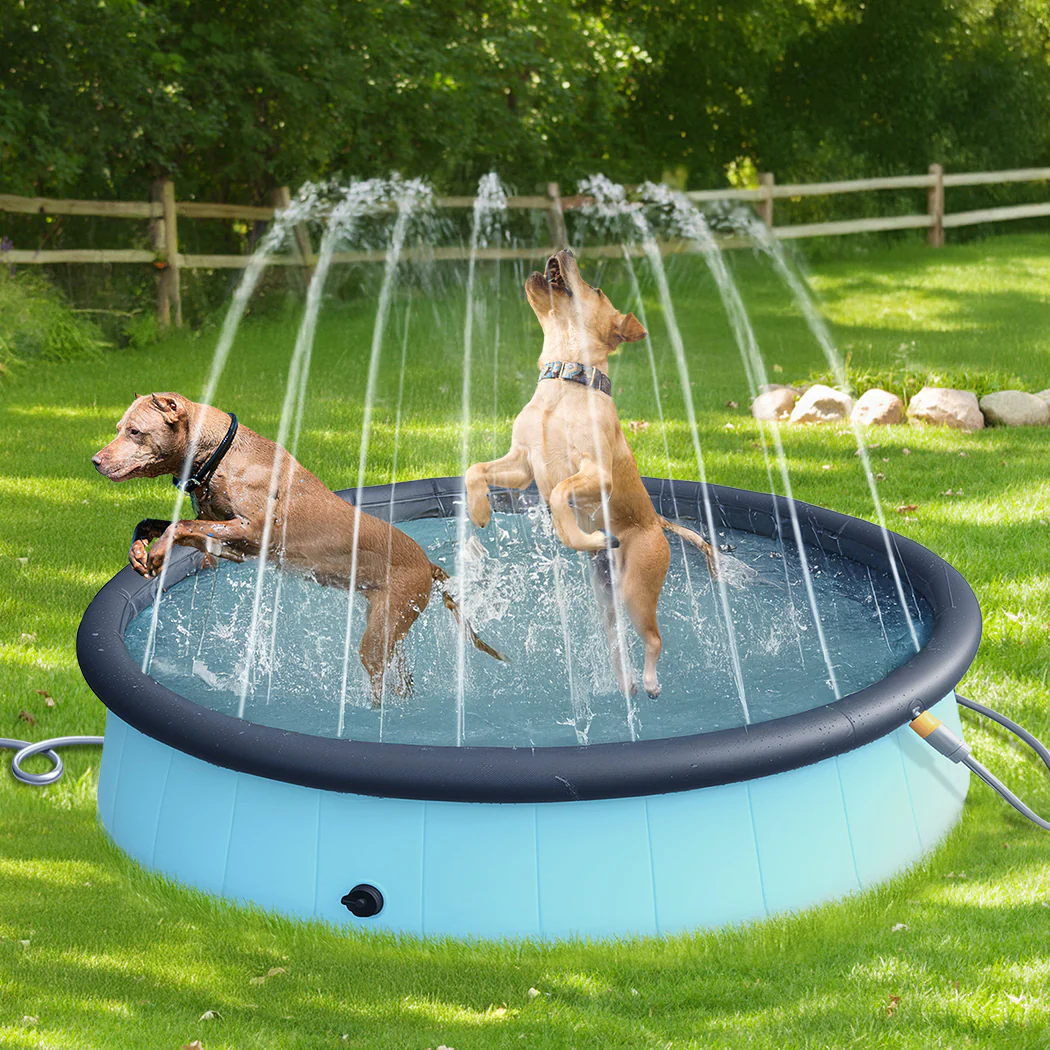Pawz Folding Dog Swimming Pool - Image 6