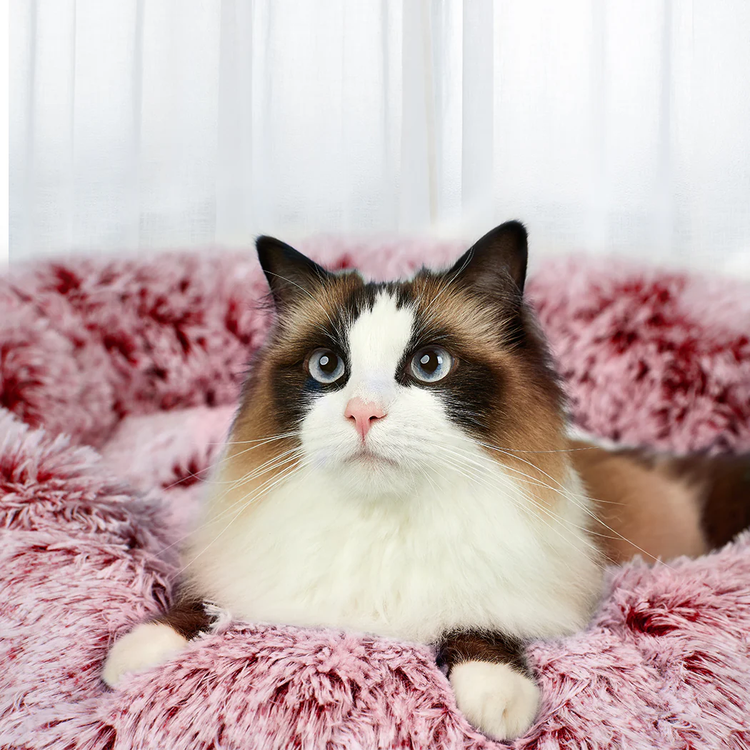 PaWz Pet Bed Memory Foam Dog Donut Pink Large - Image 6