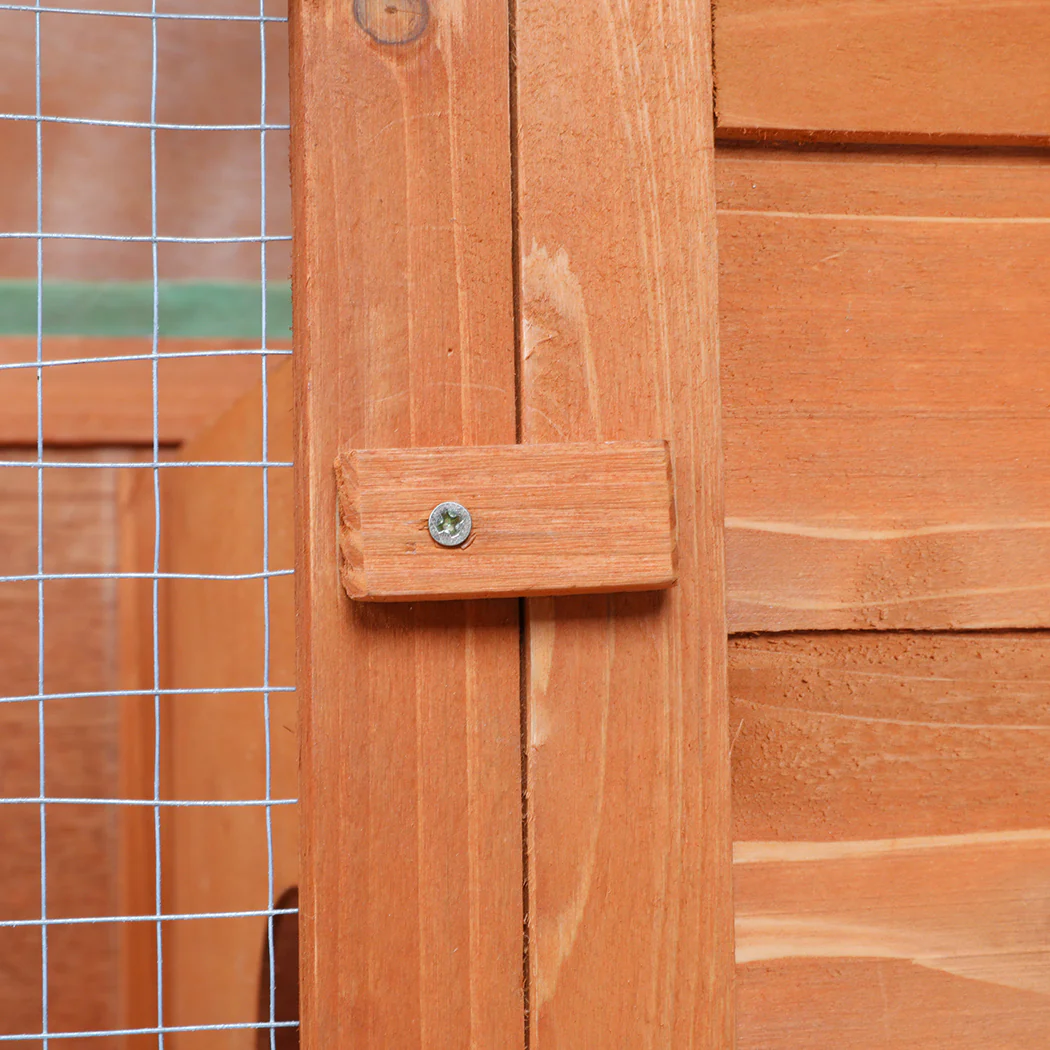 Pawz Rabbit Hutch - Image 4