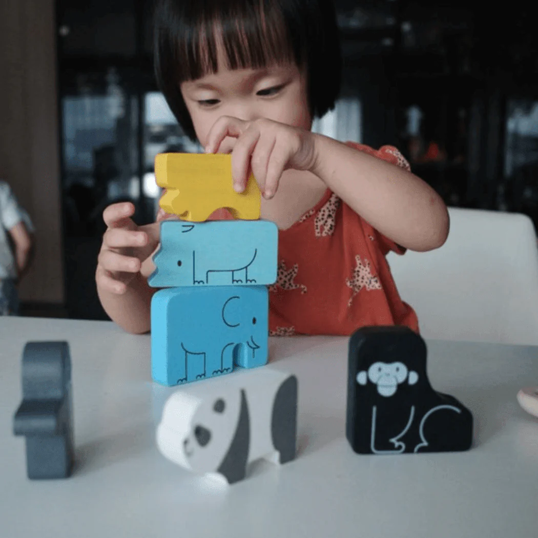 Plan Toys Animal Puzzle Game - Image 6