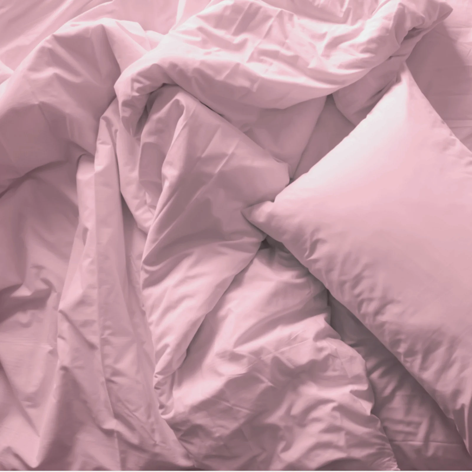 Royal Comfort Blended Bamboo Quilt Cover Sets -Blush-Queen - Image 3