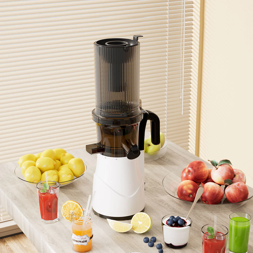 Spector Electric Cold Press Juicer Whole Fruit - Image 6