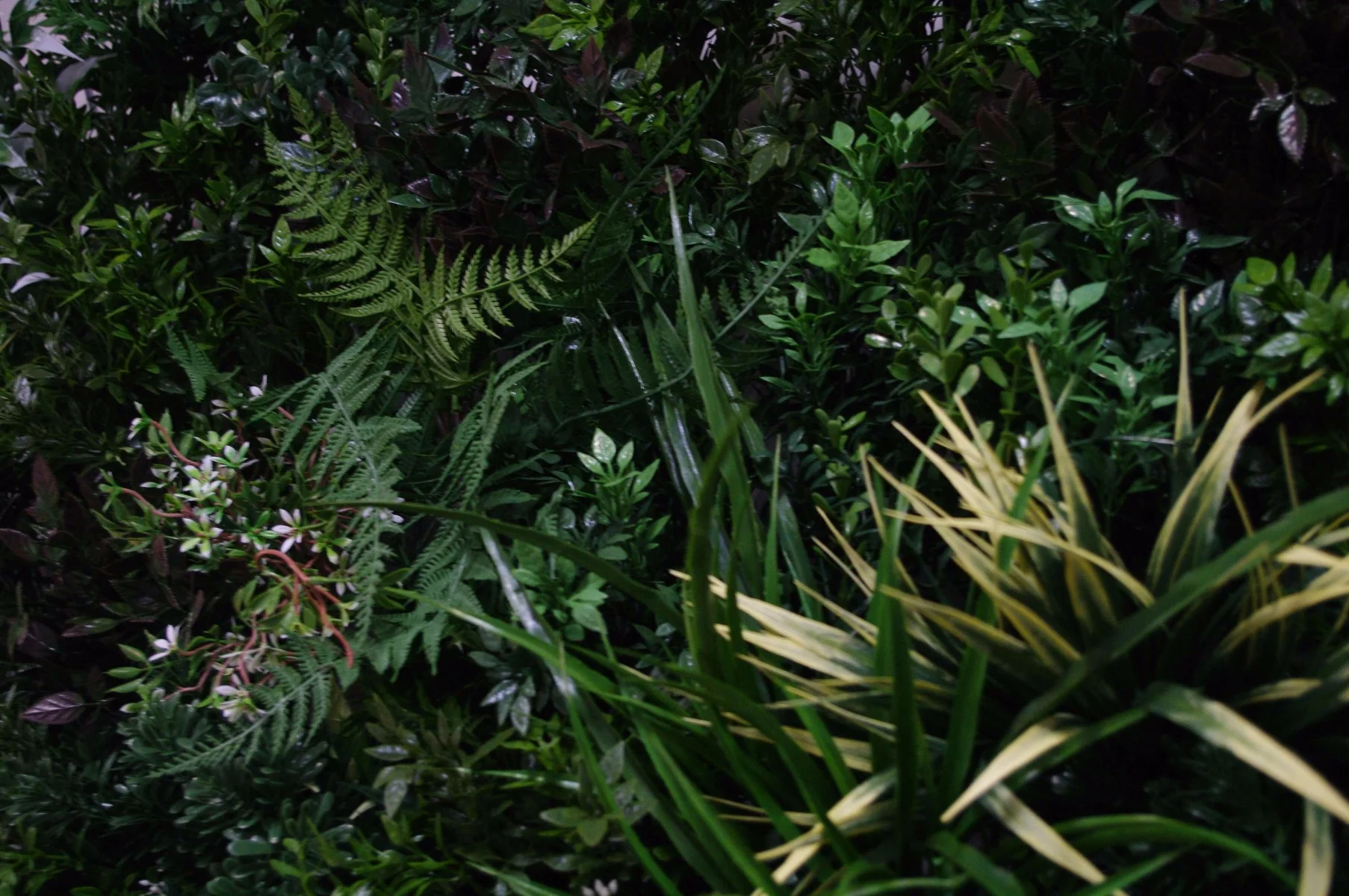 UV Stabilized Green Forest Select Range Vertical Garden 100cm X 100cm - Image 4