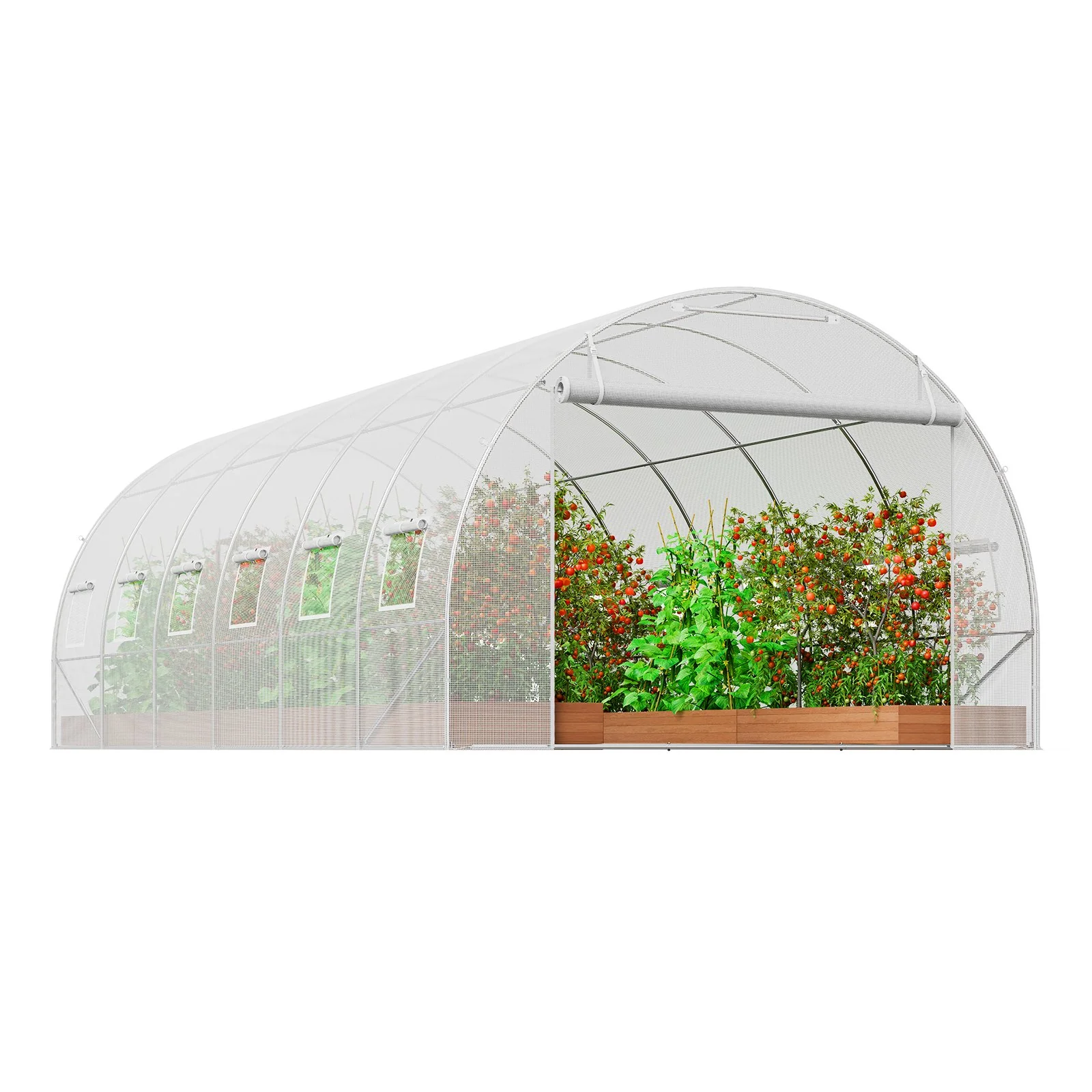 VEVOR Walk-in Tunnel Greenhouse, 19.4x9.7x6.5 ft Hoop House Greenhouse Tunnel, Plant Hot House with Galvanized Steel Frame, White PE Cover, Roll-up Zipper Door and 12 Windows for Outdoor - Image 9