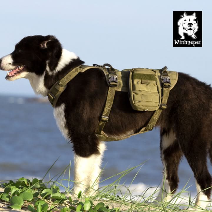 Whinhyepet Military Harness - Army Green, XL - Image 3